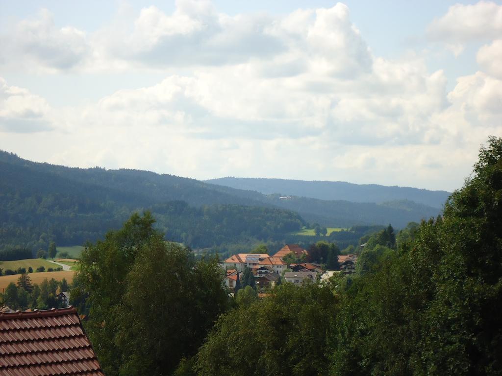 Ferienwohnung Bodenmais Am Silberberg ภายนอก รูปภาพ